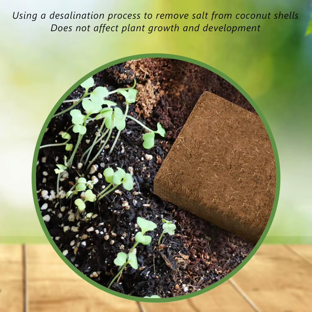 1/3/5Pcs Universal Vegetable Plant Organic-Fiber Block Water-Swellable Compressed Coconuts Bran Seedling Block for Courtyard